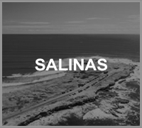 mini salinas