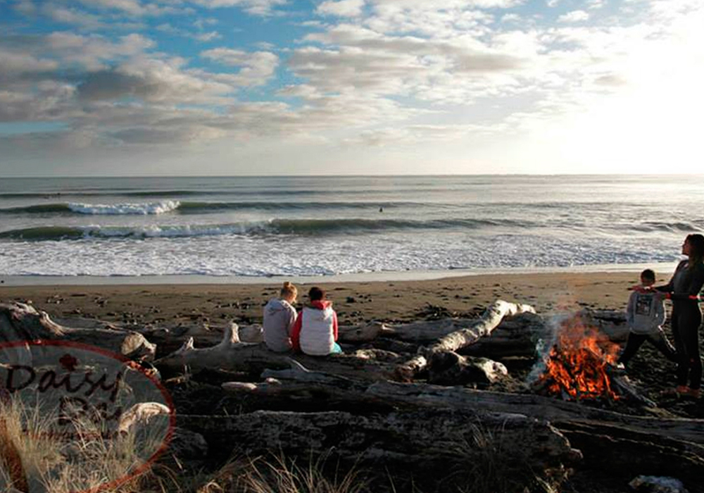 Surf city new plymouth cheap